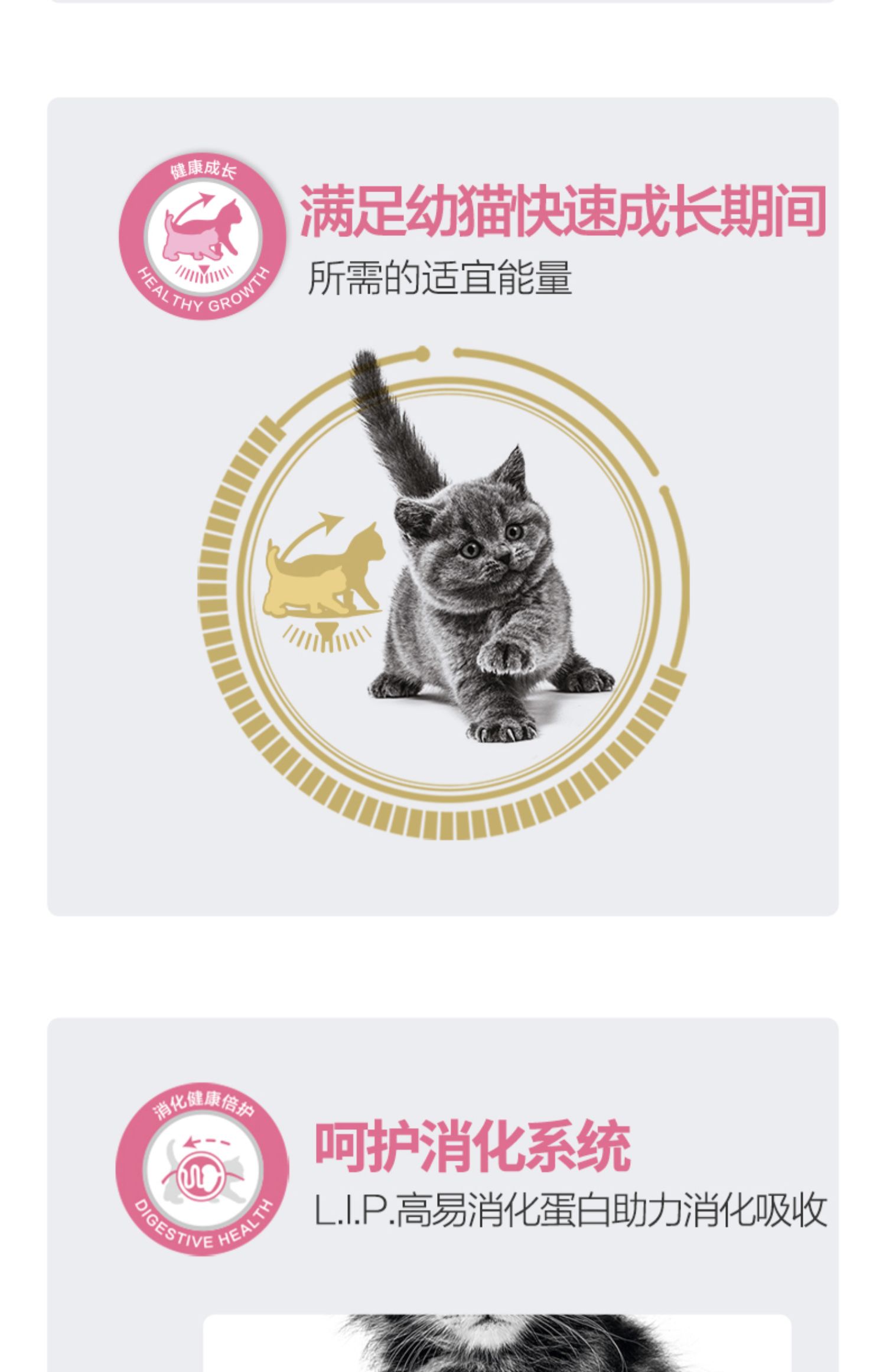 HOÀNG GIA CANIN Royal Pet Food k36 Cat Cat Food Mang thai Mẹ Mèo Garfield Cat Staple phổ biến 2kg - Cat Staples hạt thức ăn cho mèo