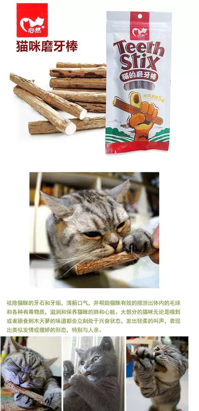Heart Cat Pet Molar Stick Cleaner 5 Gỗ Scorpio Cat Mint Hairball Đồ ăn nhẹ Toàn bộ Garfield Cat