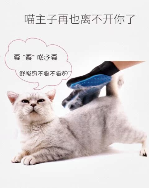 Pet 撸 mèo găng tay tẩy lông chó massage bàn chải tắm trái và tay phải mèo Teddy làm sạch vật tư lược chải lông poodle