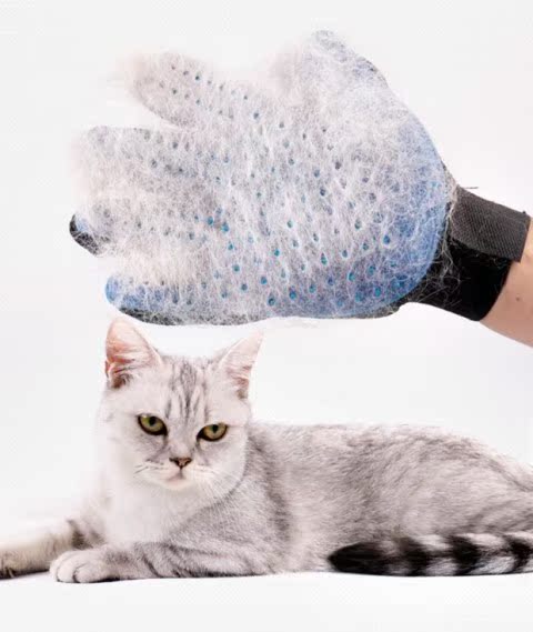 Pet 撸 mèo găng tay tẩy lông chó massage bàn chải tắm trái và tay phải mèo Teddy làm sạch vật tư lược chải lông poodle