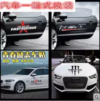 Car sticker front door sticker body sticker car sticker Hood racing car sticker modified side skirt pull flower scratch cover