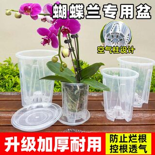 Simple plastic transparent breathable flower pot for phalaenopsis