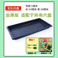 10 утолщенных непрофессиональных поддонов [подходит для всех отверстий отверстия]