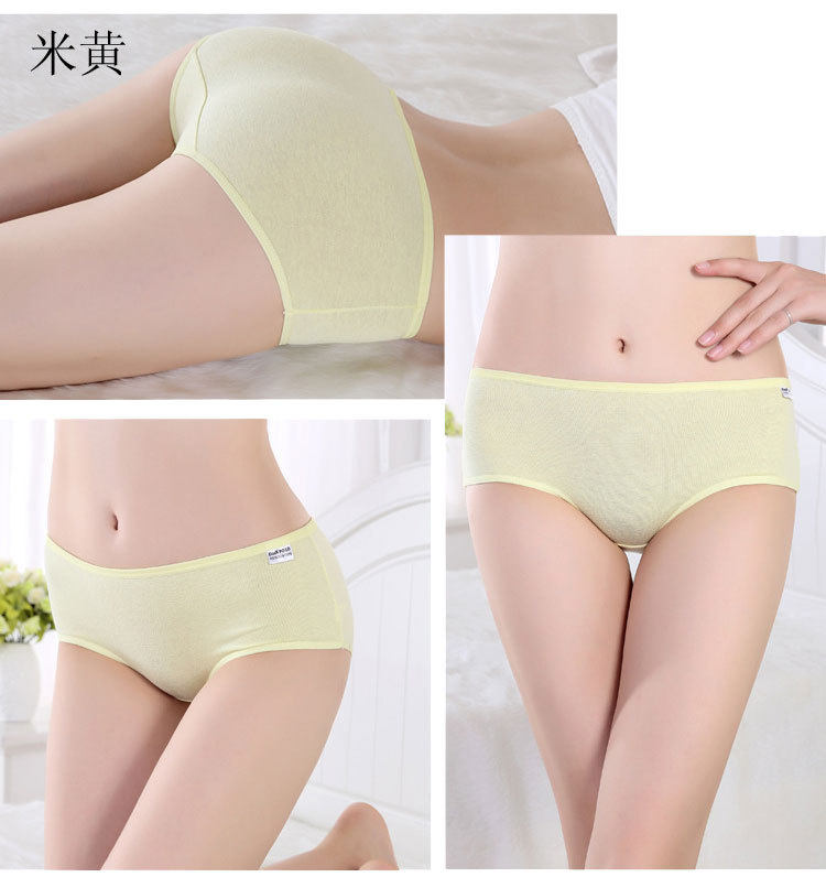 Slip jeunesse en coton - Ref 640111 Image 13