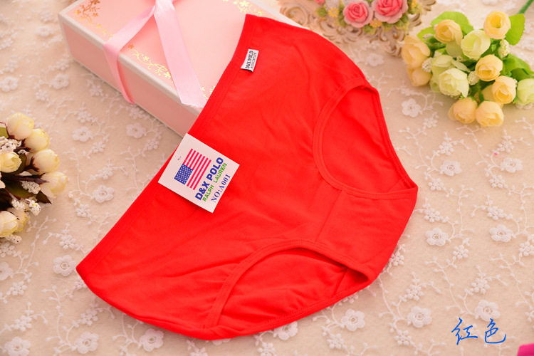 Slip jeunesse en coton - Ref 640111 Image 33