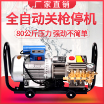 Black cat Dingli QL280 automatic high pressure self-priming cleaning machine Car Washing Machine 220V brush water pump gun Farm