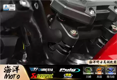 German DMV DIMOTIV KAWASAKI KAWASAKI Z900RS HANDLEBAR RAISED seat