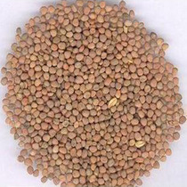 Chinese herbal medicine radish seed radish seed radish Radish seed 500g