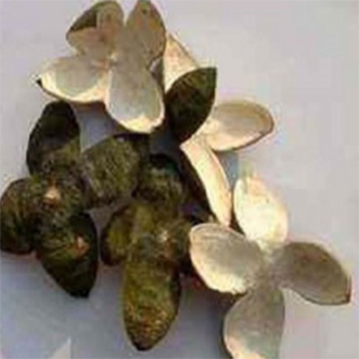 Green peel small green orange peel green orange peel dried orange peel dry green orange peel dry