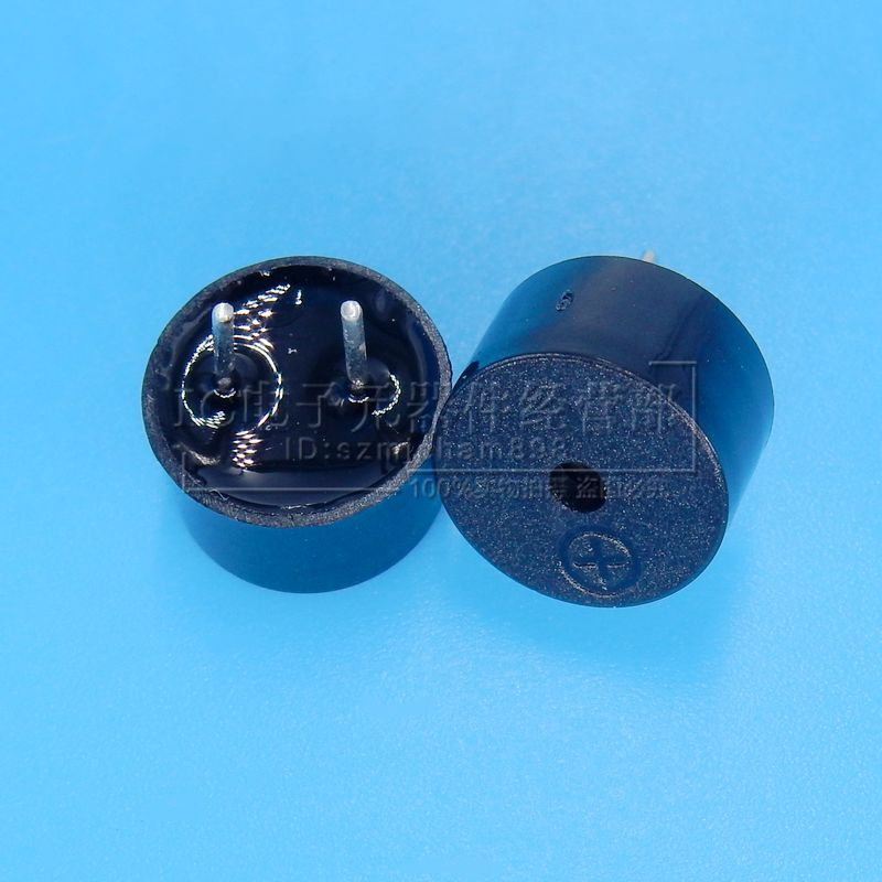 Passive buzzer 3 3V 3V 5V 5V 12V 5 5R Ohm 9 * 5 5mm 0905 Type of electromagnetic