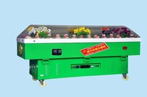 Ice coffin crystal coffin refrigerated coffin frozen coffin ice coffin