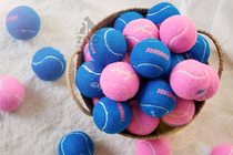 KJ pet voice tennis cat toy tour training dog toy interactive elastic ball grinding teeth bite anti-depression