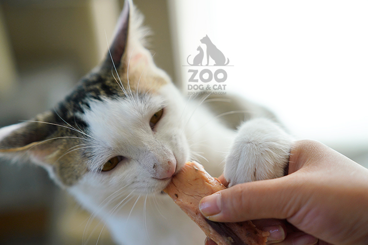 Zoo 卡 乐 10 con gà luộc trắng nhỏ mực mực thành mèo và mèo ăn nhẹ - Đồ ăn nhẹ cho mèo hạt cuncun cho mèo