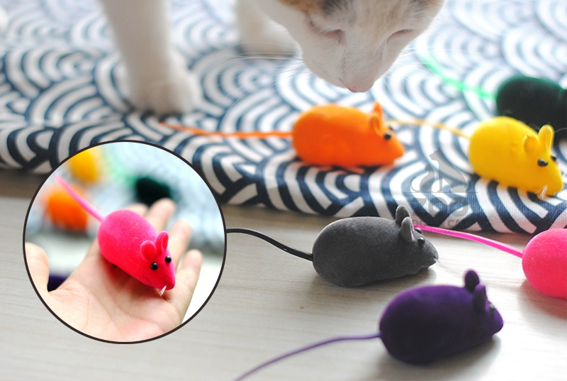 Zoo│Voice Simulation Little Mouse Cat Toy Master Master Love Hãy giải phóng bản chất của bạn đi em bé! - Mèo / Chó Đồ chơi