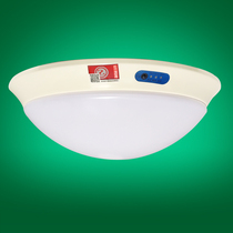 Raj fire emergency lighting ceiling lamp led with battery suction type 3W tower induction 8W12W razor