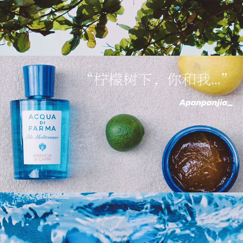 Parma Parma Water Parma Blue Mediterranean Myrtle California Osmanthus Fig Bergamot Perfume