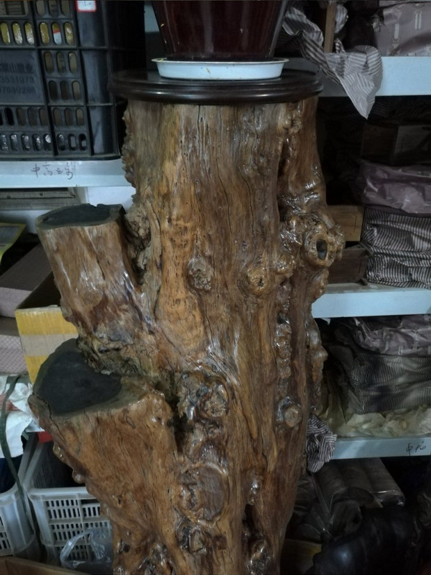 Trẻ mồ côi, gỗ đàn hương tím, chạm khắc gỗ gốc, phòng khách, trang trí văn phòng, gỗ đàn hương đen, kệ gỗ cây cảnh - Các món ăn khao khát gốc bàn ghế gốc cây đẹp nhất