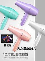 Fire Phoenix hair dryer hair salon dedicated high-power barber shop silent negative ion temperature high styling hair dryer