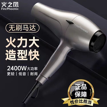Fire Phoenix Hair Dryer 6600H Brushless High-Power Hair Dryer Quick Drying Silent Lightweight Hair Stylist Hair Dryer