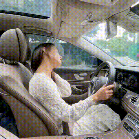 10002.gif