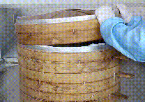 9.gif