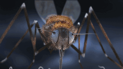 20240613_175015_046.gif