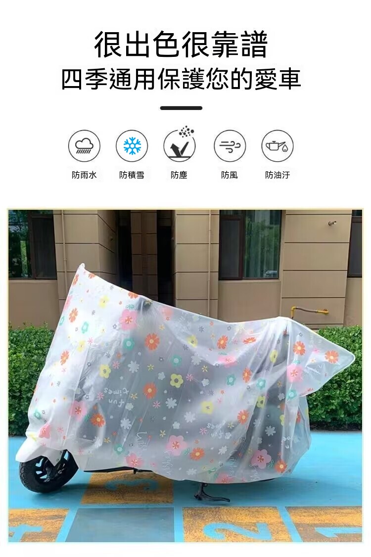 1007.jpg