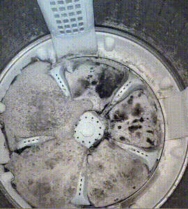 10012.gif