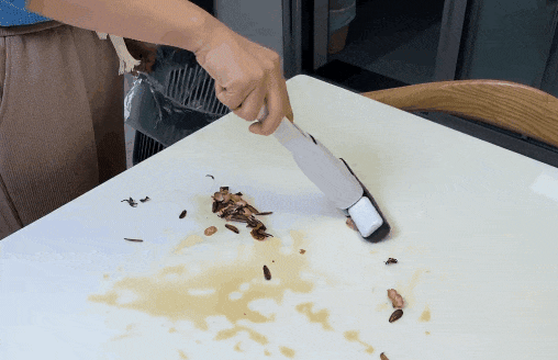 P_011.gif