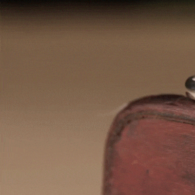 10004.gif