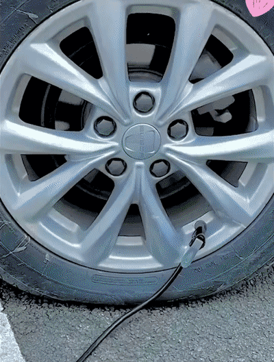 P_015.gif