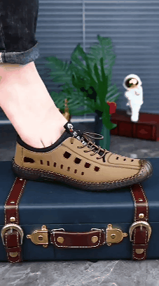 P_006.gif