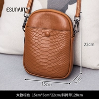 21 Большой Браун