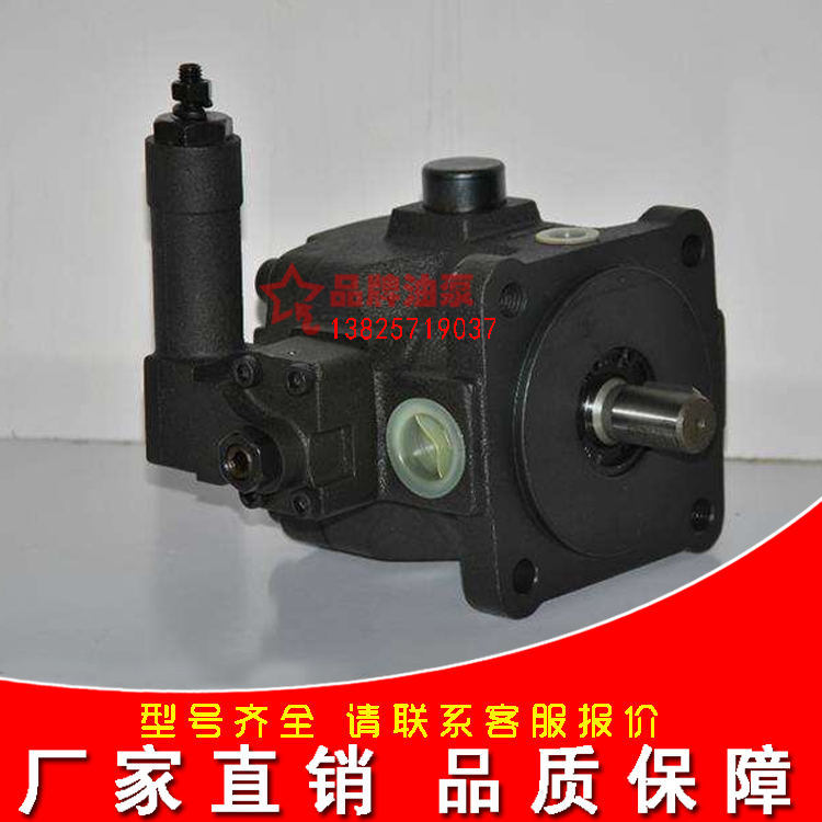 Plastic machine Taiwan oil pump VDP-SF-30D rubber cutting machine hydraulic pump VDP-SF-40D baler variable vane pump