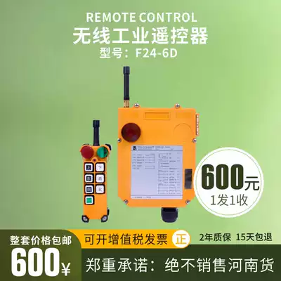 Taiwan Yuding original wireless industrial remote control F24-6D electric crane driving crane crane