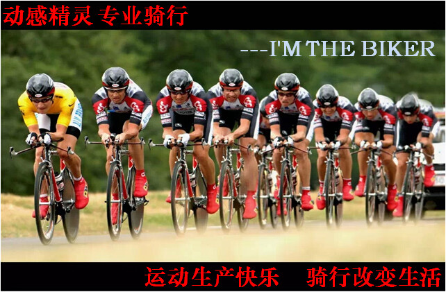 Sacoche pour vélo mixte SNAILKEY - Ref 2217344 Image 6