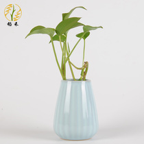 Ru kiln ceramic small vase flower arrangement porcelain bottle living room table decoration porcelain small ornaments Ru porcelain hydroponic flower culture bottle