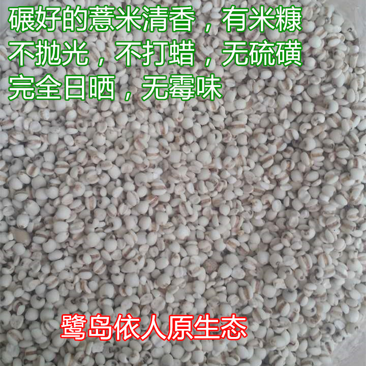 When the season's new cargo Longyan's moderate mountain farmhouse self-produced field terraces planting the pearl barley seed barley to get wet little tears