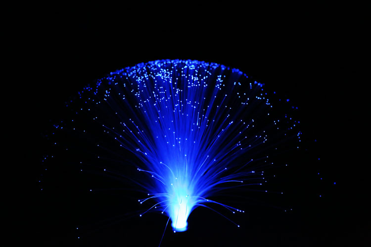 Fiber Optic Light 7