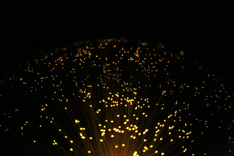 Fiber Optic Light 5