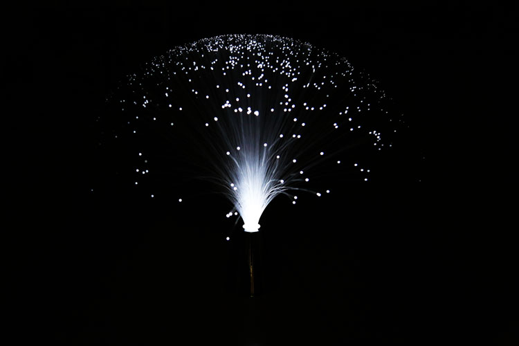 Fiber Optic Light 1