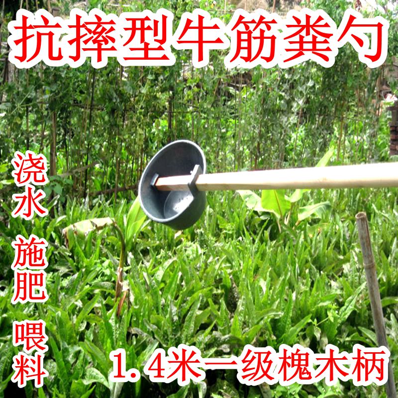 Manure scoop Manure scoop Water scoop Watering vegetables Watering fertilization scoop Agricultural balcony planting flower scoop fertilizer scoop Greenhouse tool extended handle