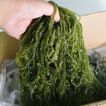 10 pounds of new goods salted kelp silk kelp silk fresh tender kelp silk Non-dry goods whole box kelp bubble hair ready-to-eat