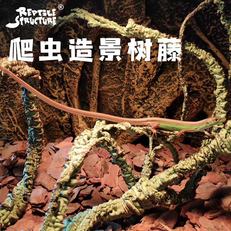 热带雨林的微缩世界🌿 - RS爬虫箱造景树藤假树枝-爬宠躲避-淘宝好物网