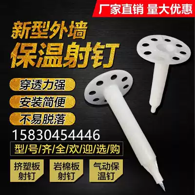 Insulation nails BG nails External wall insulation special nail shooting rock wool insulation nail shooting device Nail shooting gun special insulation board nail shooting