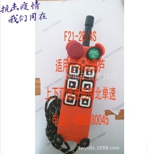 Taiwan Yu Ding Wireless Remote Control Crane Remote Control F21-2D4S(Taiwan Capital)