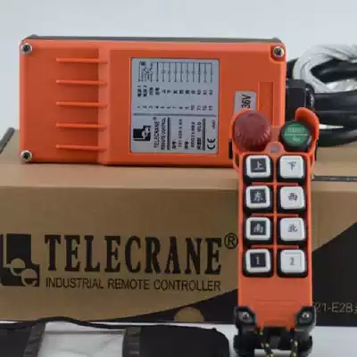 F21-E2M-8 Taiwan Yuding 8-point single-speed remote control Arui Electronics Co., Ltd.