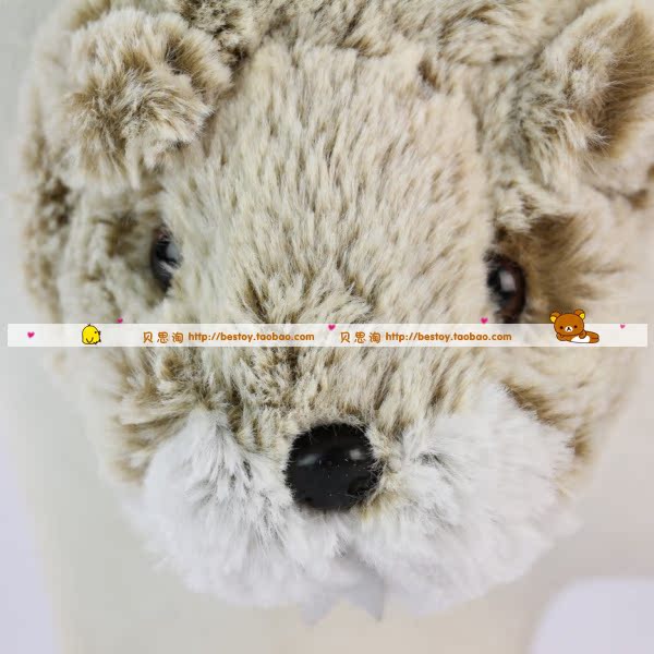 Cache-oreilles pour enfant - Ref 2151677 Image 21