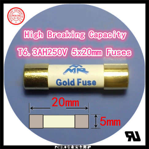AMR T6 3AH250V European sound power amplifier liner HIFI gold cap silver wire fuse tube 5x20mm