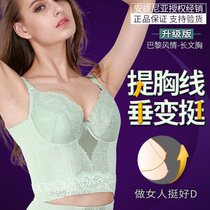 Antinia long bra body manager shapewear Paris style beauty body gathered to collect sub-milk underwear thin